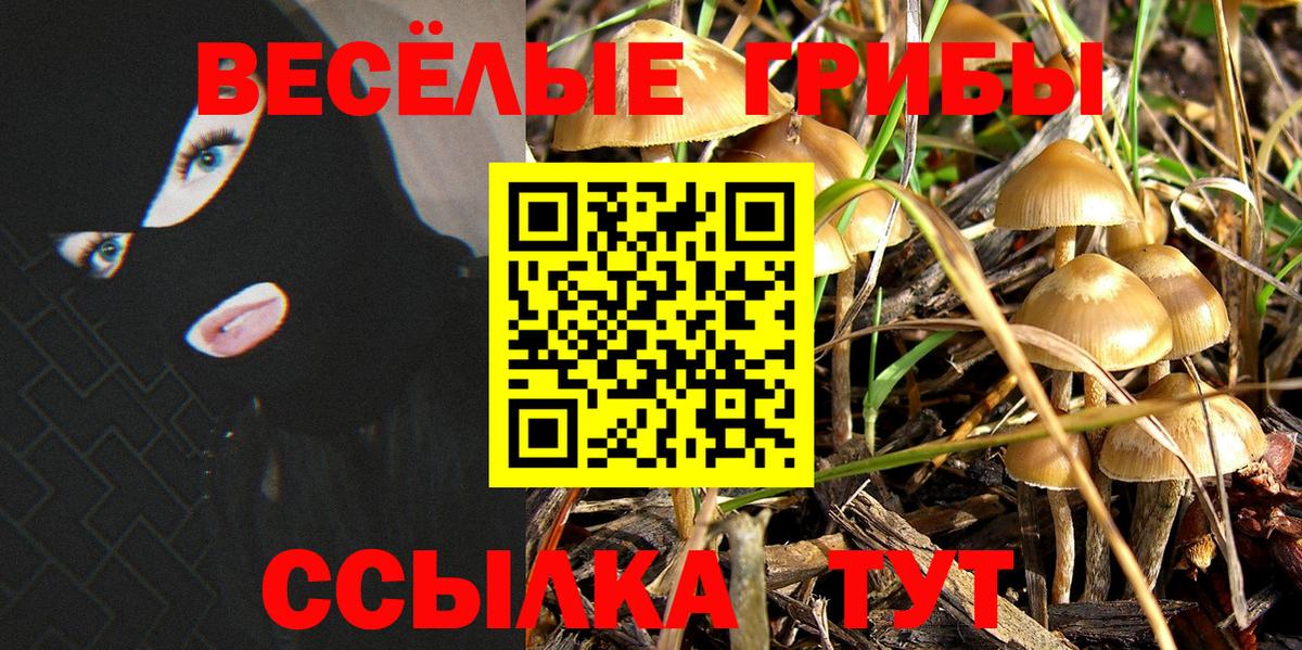 Галлюциногенные грибы прущие грибы  дарнет шоп  Пенза  Галлюциногенные грибы мицелий  Вход с VPN 