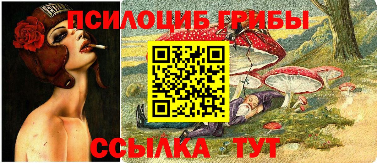 Псилоцибиновые грибы MAGIC MUSHROOMS Пенза